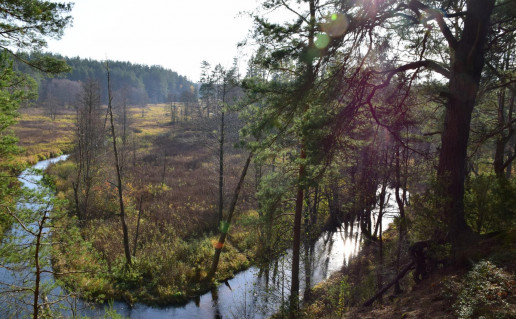 12_Šaudyklos kalnas Narkaus foto (2).jpg